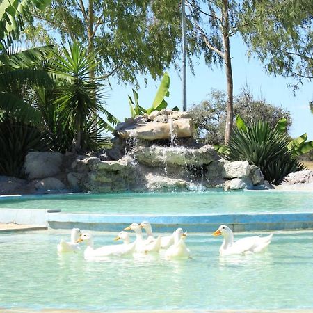 Bambi Lodge Grootfontein Экстерьер фото