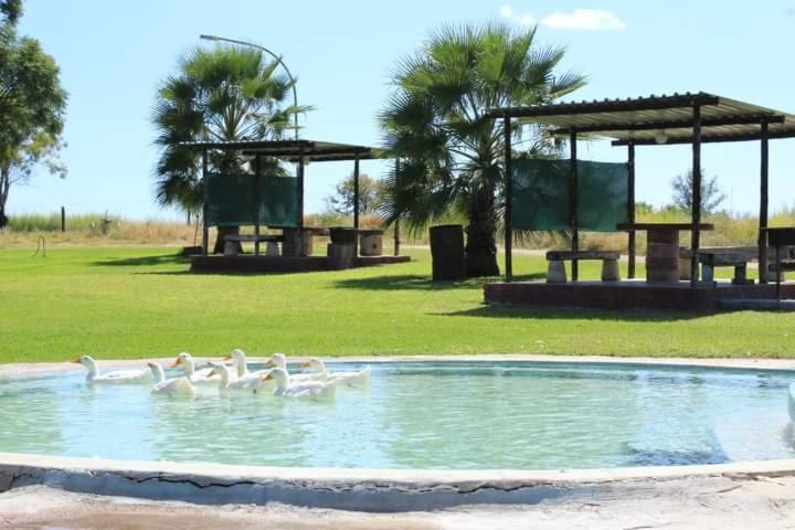 Bambi Lodge Grootfontein Экстерьер фото