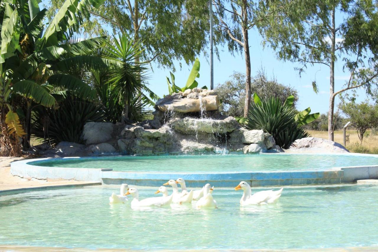 Bambi Lodge Grootfontein Экстерьер фото