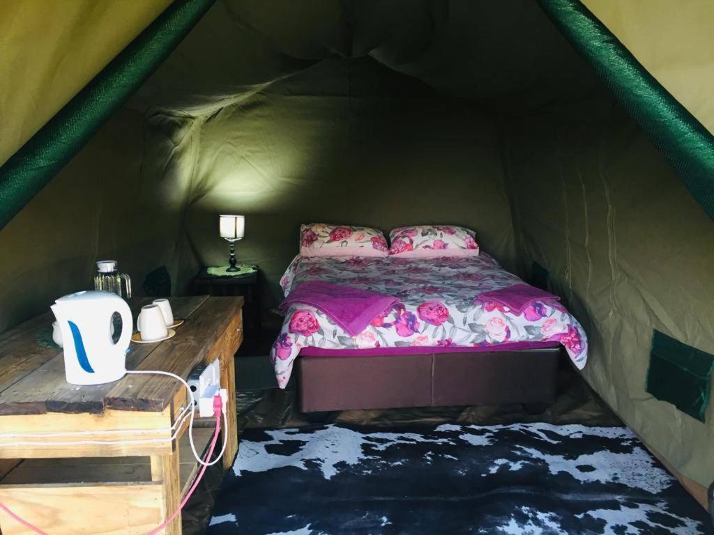 Bambi Lodge Grootfontein Экстерьер фото